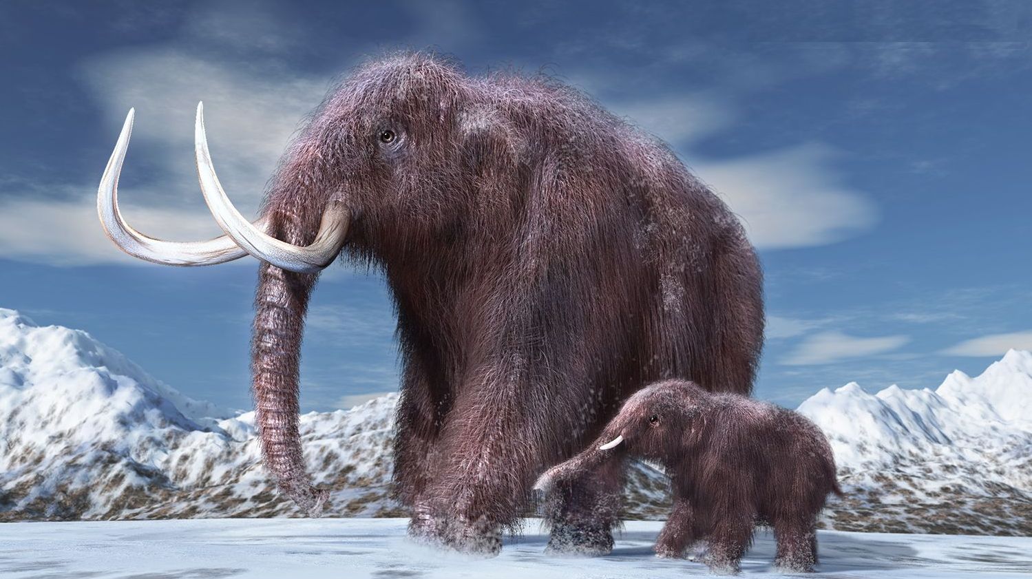 Mammuthus.jpg