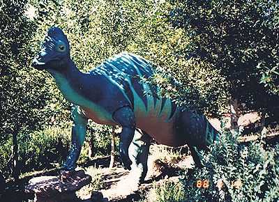 アルバータケラトプスの歯 恐竜 角竜 化石 白亜紀 カナダ