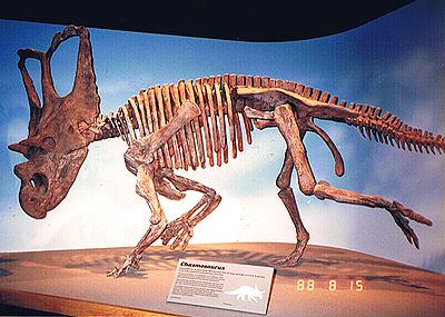 Embark-on-a-Jurassic-Adventure