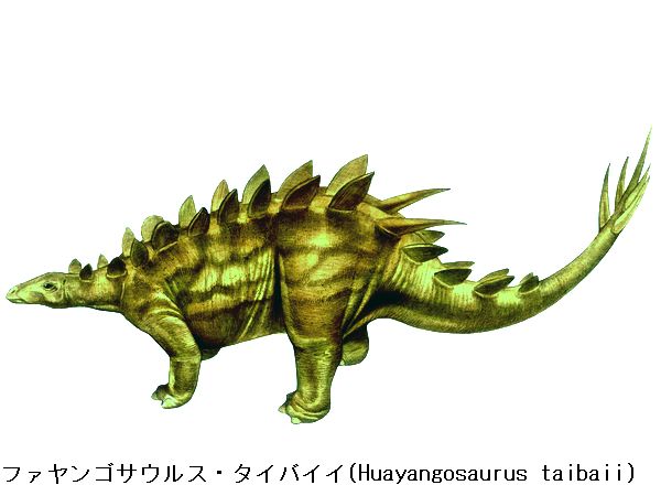 ケントロサウルスの肋骨　恐竜　化石　ジュラ紀　アフリカ　ステゴサウルス　剣竜 ケントロサウルスの肋骨 恐竜 化石 ジュラ紀 アフリカ
