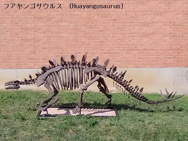 kenryu08.jpg