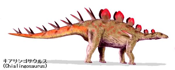 キアリンゴサウルスは、中国、四川省、渠県で、ジュラ紀後期の上部シャ